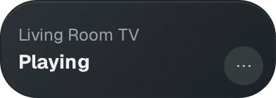 TV Remote