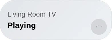 TV Remote